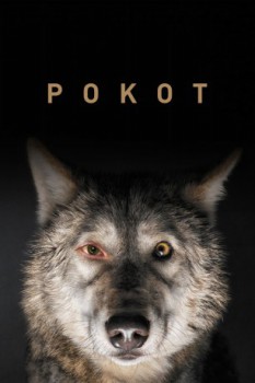 cover Pokot